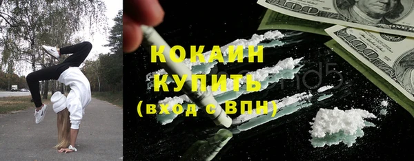 дживик Абинск