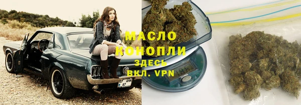 дживик Абинск