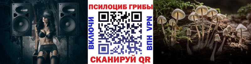 гидра как войти  Нижняя Тура  Галлюциногенные грибы Cubensis 